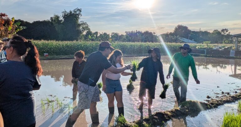 LEAD Fellowship Students Planting Rice
